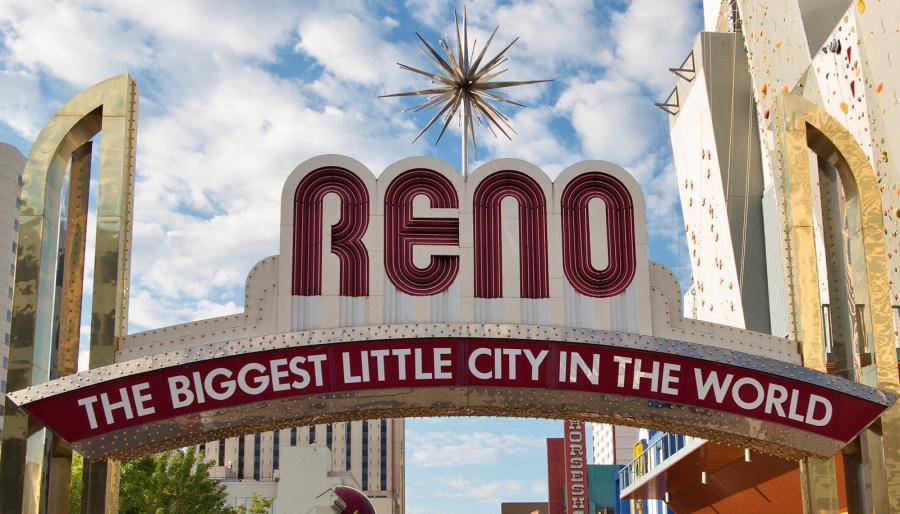 NASS 2020 Summer Conference NASS